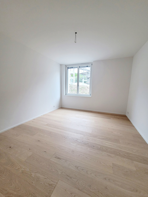 Neubauwohnung im Naherholungsgebiet - Foto 1