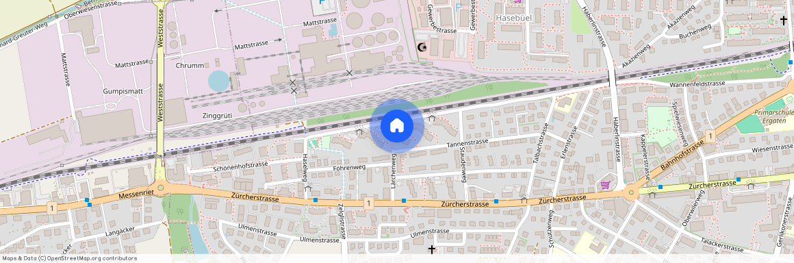 Wannenfeldstrasse 81, 8500 Frauenfeld