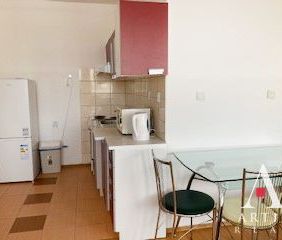 Ponúkame na prenájom väčší jednoizbový byt – apartmán na ul. Tr. SN... - Photo 5