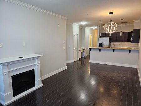 Historical Downtown Abbotsford - Photo 2