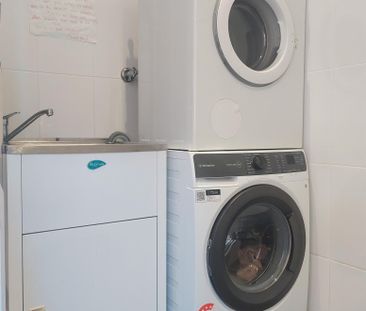 2/127 Alison Road, Randwick NSW 2031 - House For Rent | Domain - Photo 4