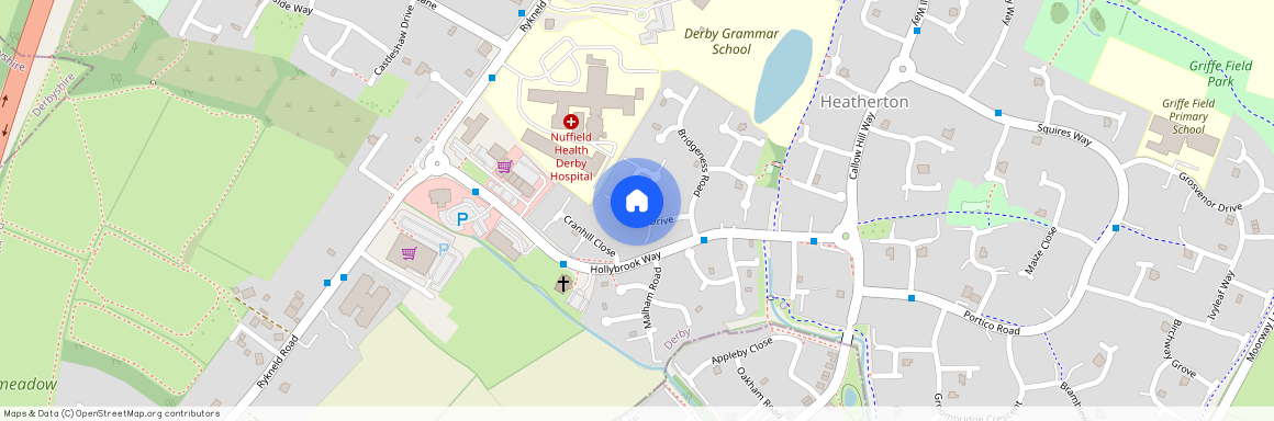 Rossington Drive, Littleover, DE23 3UP