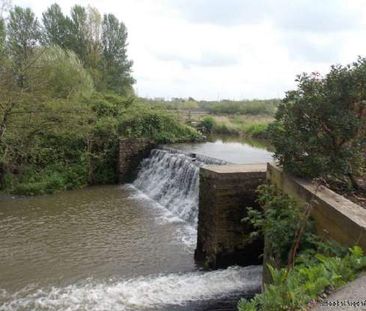 2 bedroom property to rent in Frome - Photo 3