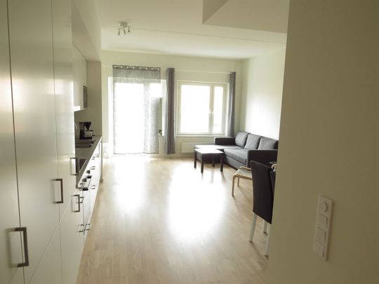 Ebbe Lieberathsgatan - Photo 1