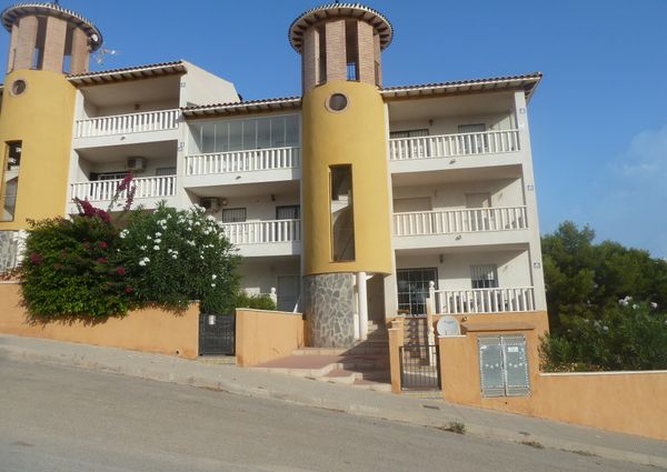 53 Tulipan – Id. 393