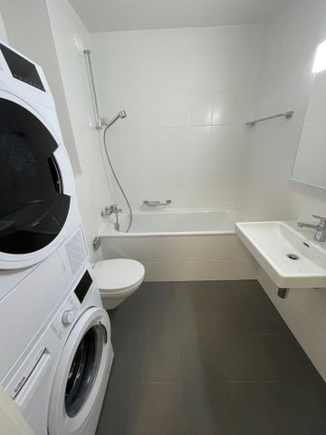 Malagnou - Champel - Foto 5