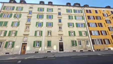 Des logements uniques après rénovation - Elégant de 3,5 pièces - Foto 5