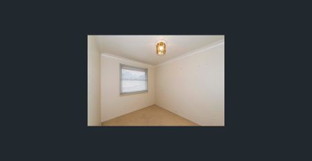 A Must to See - Photo 2