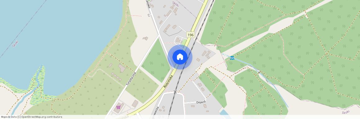 ul. Wągrowiecka, Skoki, Skoki, wągrowiecki, wielkopolskie