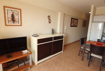 For rent nice 1 bedroom penthouse with view in Playa Paraiso, Adeje