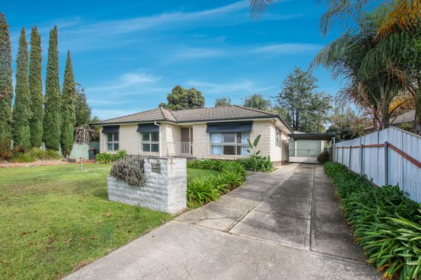 Beautiful Renovated Three Bedroom Home - Photo 1