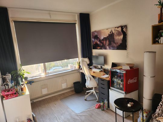 Nicolaas Maesstraat, 67, 7545CD, Enschede - Photo 1