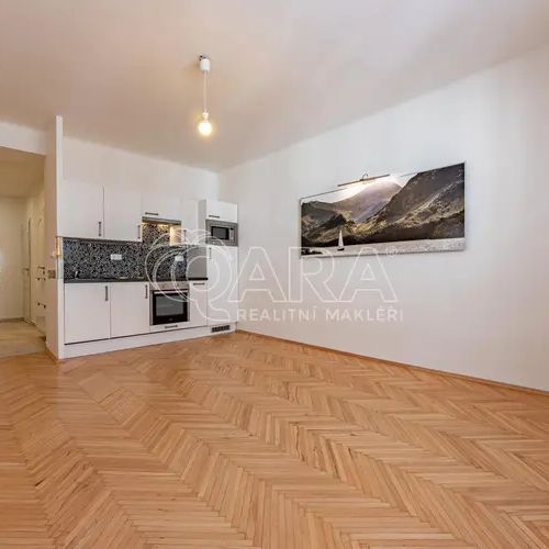 Pronájem bytu po po rekonstrukci, 1+kk, 34 m - Photo 1