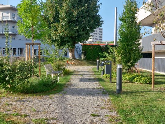 SCHÖNE 2-ZIMMERWOHNUNG MIT BALKON IN REININGHAUS - Foto 1