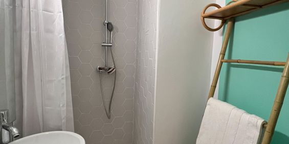 Location Appartement 1 pièce 23m² STE CLOTILDE 97490 - Photo 3