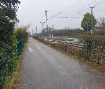 Helle + moderne große 1-Zimmer - Wohnung + Balkon - Photo 2