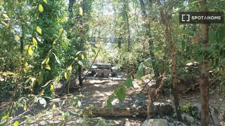 2 room luxury Flat for rent in Boalo, Autonomous Region of Madrid - Photo 5