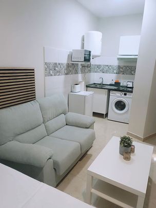 Estudio de alquiler en Plaza del Hospital Civil, 4, La Trinidad - Photo 1