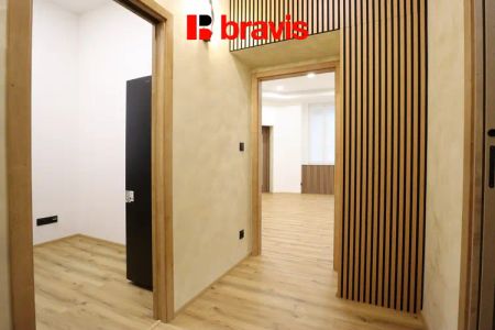 Pronájem bytu/atelieru 1+1, ulice Husovická, Brno - Husovice, po rekonstrukci, sklep - Photo 5
