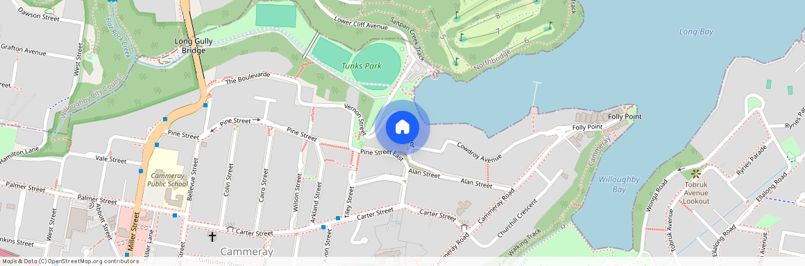 21 Stratford Street, NSW 2062, Cammeray