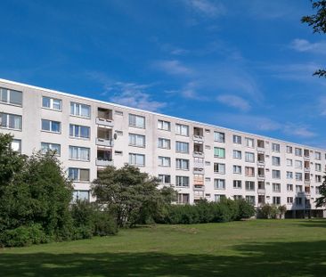 Kurze Wege zur City und zum VW-Werk - Foto 1