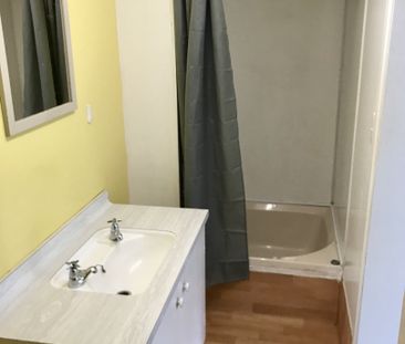 50 Bedford Street, Northland - Photo 6