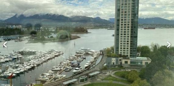 Coal Harbour One Bedroom - Photo 2