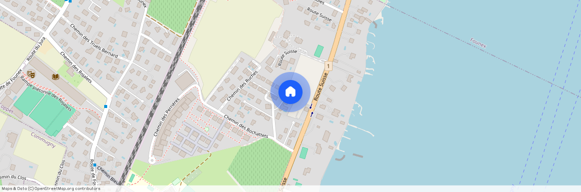 10 Chem. des Chênes, 1296 Coppet