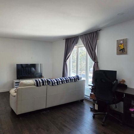 Magnifique 4 1/2 à Ste-Adèle, disponible maintenant - Photo 4
