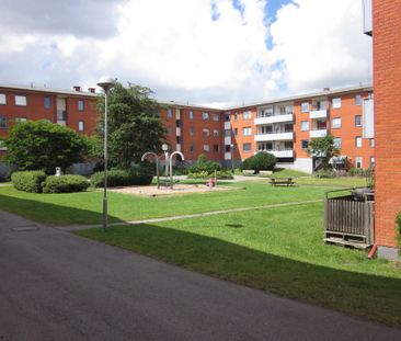 Pilegården 5 C - Foto 5