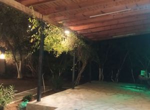 Διαμέρισμα για ενοικίαση - Μεσσήνη, - Φωτογραφία 4