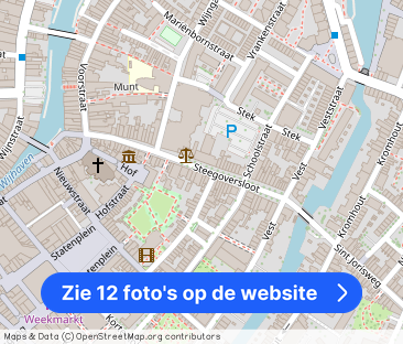 Leuke bovenwoning met 2 kamers in Centrum Dordrecht - Foto 1