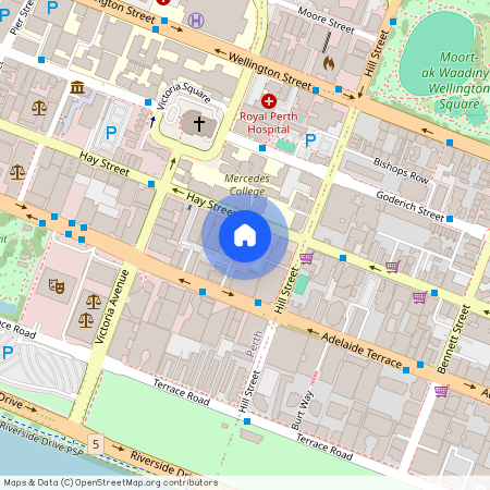 173/369 Hay Street, Perth WA 6000