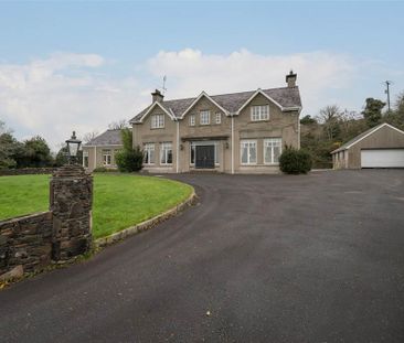 14 Ballynahinch Road, Dromara, Dromore, BT25 2BS - Photo 1