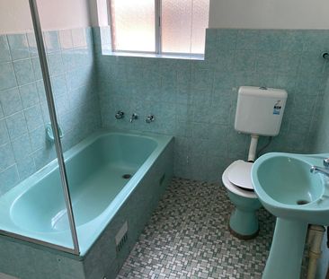 First Floor Unit! - Photo 3