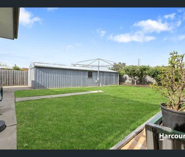 Quality Three-Bedroom Living with Multiple Living Areas and Secure ... - Photo 4