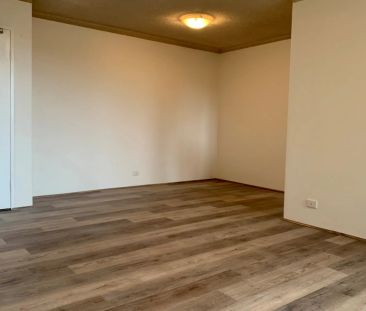 Renovated Two Bedroom Unit + LUG - Photo 3