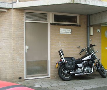 24, Laagveen, 2461 HE, Ter Aar - Foto 2