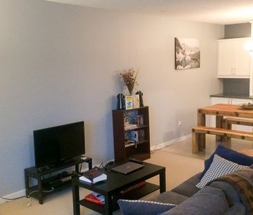 3 Bedroom Townhouse For Rent In Skyrattler: Pet Friendly. - Photo 6