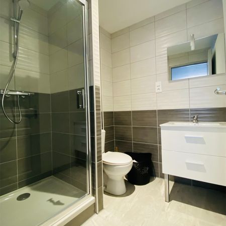 Location Appartement 1 pièce 20m² GRAY 70100 - Photo 4