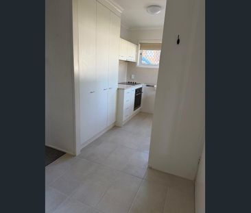STUNNING WATERFRONT LOCATION AT THE ICONIC TALLEBUDGERA CREEK - Photo 3