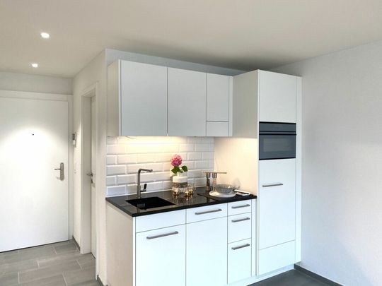 Attraktive 1 Zimmerwohnung im Kannenfeldquartier - Foto 1