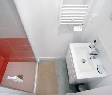 SQUARE DE SWANSEA Roommate 2 Bedrooms at Brest - Photo 3