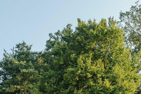 Wohnung - Miete in 8047 Graz - Photo 5