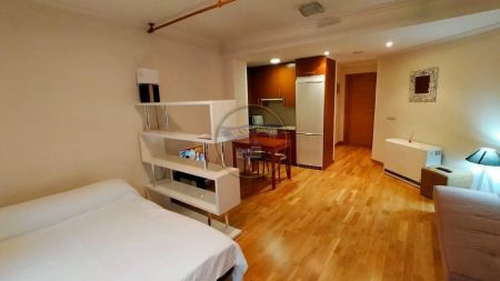 Estudio de alquiler en Calle Mexico, Plaza España - Corte Inglés - Foto 3