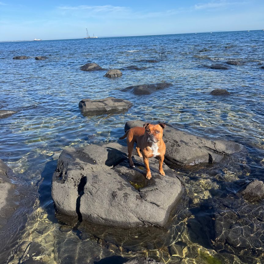 Altona North - Photo 1