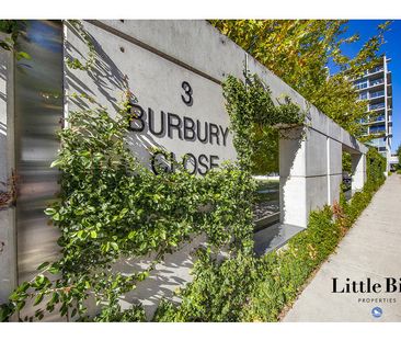 37/3 Burbury Close, Barton ACT 2600 - Apartment For Rent | Domain - Photo 2
