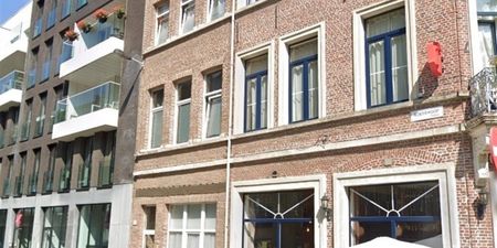 't Zuid ∣ Aangenaam appartement 1 slaapkamer - Foto 4