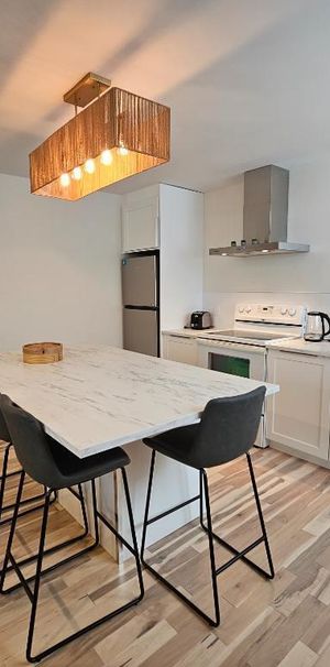 JUILLET ** Magnifique 3 1/2 rénové / Face au Parc St-Clément - Photo 1
