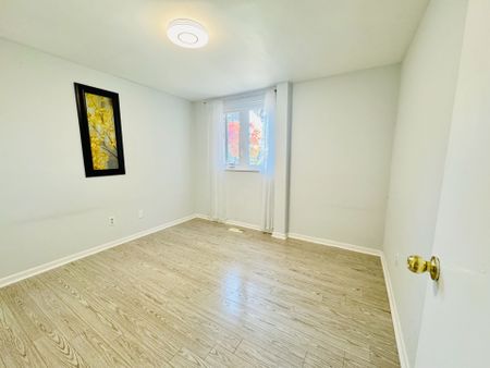 For Lease - 272 Essex (Work Out Basement) Avenue, Richmond Hill, Ontario - Photo 4